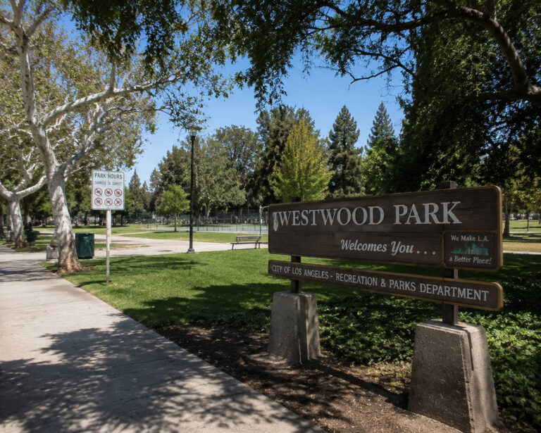 Westwood Park Cleanup